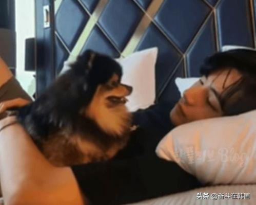 爆料韩国男团恋爱视频大全